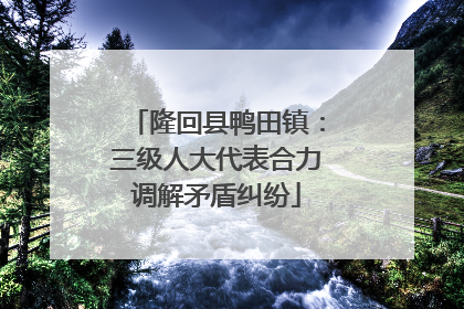 隆回县鸭田镇：三级人大代表合力调解矛盾纠纷