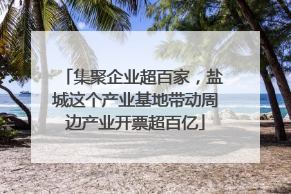集聚企业超百家，盐城这个产业基地带动周边产业开票超百亿