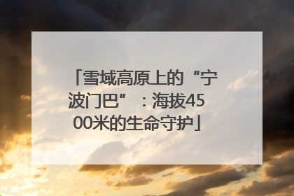 雪域高原上的“宁波门巴”：海拔4500米的生命守护