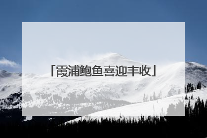 霞浦鲍鱼喜迎丰收