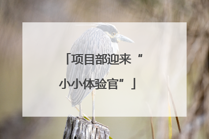 项目部迎来“小小体验官”