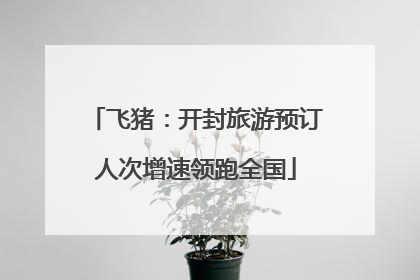 飞猪：开封旅游预订人次增速领跑全国