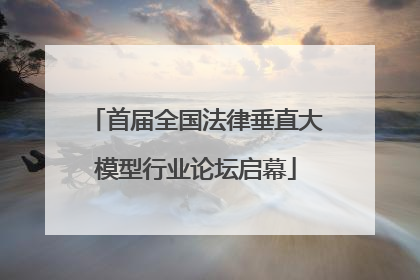 首届全国法律垂直大模型行业论坛启幕