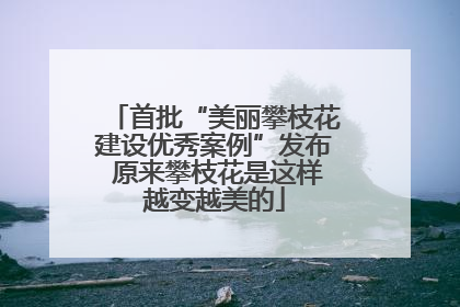 首批“美丽攀枝花建设优秀案例”发布 原来攀枝花是这样越变越美的