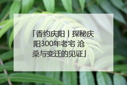 香约庆阳丨探秘庆阳300年老宅 沧桑与变迁的见证