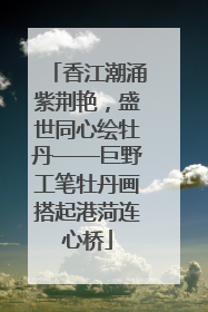 香江潮涌紫荆艳，盛世同心绘牡丹——巨野工笔牡丹画搭起港菏连心桥