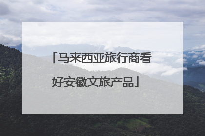 马来西亚旅行商看好安徽文旅产品
