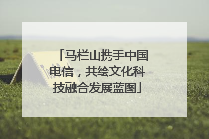 马栏山携手中国电信，共绘文化科技融合发展蓝图