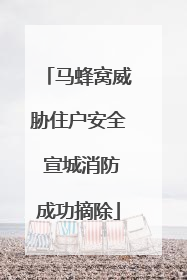 马蜂窝威胁住户安全 宣城消防成功摘除