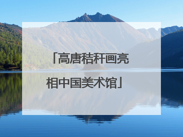 高唐秸秆画亮相中国美术馆