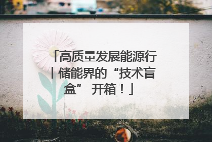 高质量发展能源行丨储能界的“技术盲盒” 开箱！
