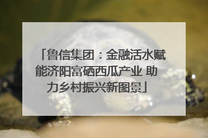 鲁信集团：金融活水赋能济阳富硒西瓜产业 助力乡村振兴新图景
