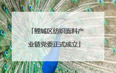 鲤城区纺织面料产业链党委正式成立