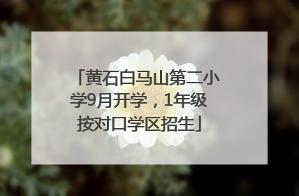黄石白马山第二小学9月开学，1年级按对口学区招生