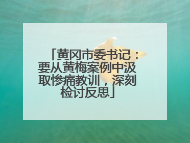 黄冈市委书记：要从黄梅案例中汲取惨痛教训，深刻检讨反思