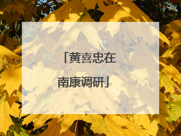 黄喜忠在南康调研