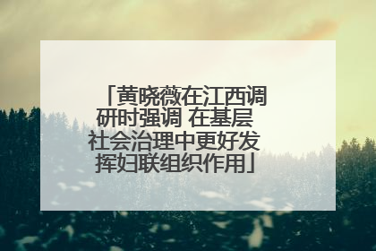 黄晓薇在江西调研时强调 在基层社会治理中更好发挥妇联组织作用