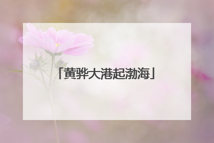 黄骅大港起渤海