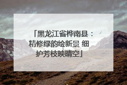 黑龙江省桦南县：精修绿韵绘新景 细护芳枝映晴空