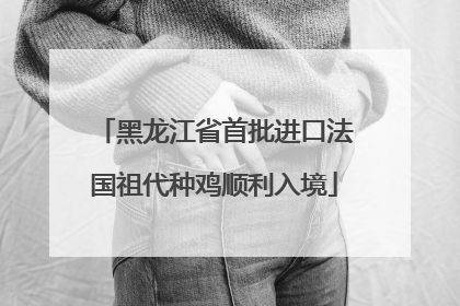 黑龙江省首批进口法国祖代种鸡顺利入境