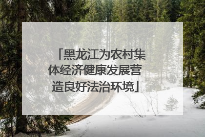 黑龙江为农村集体经济健康发展营造良好法治环境