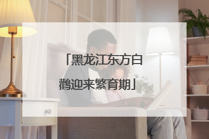 黑龙江东方白鹳迎来繁育期