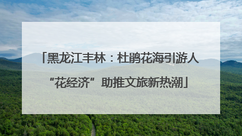 黑龙江丰林：杜鹃花海引游人 “花经济”助推文旅新热潮