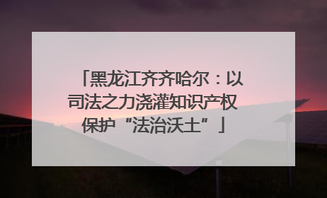 黑龙江齐齐哈尔：以司法之力浇灌知识产权保护“法治沃土”