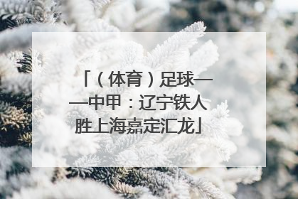 （体育）足球——中甲：辽宁铁人胜上海嘉定汇龙