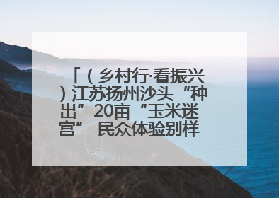 （乡村行·看振兴）江苏扬州沙头“种出”20亩“玉米迷宫” 民众体验别样“田园乐趣”