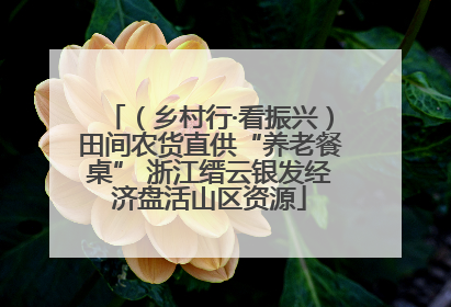 （乡村行·看振兴）田间农货直供“养老餐桌” 浙江缙云银发经济盘活山区资源
