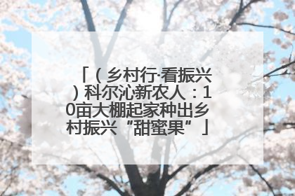 （乡村行·看振兴）科尔沁新农人：10亩大棚起家种出乡村振兴“甜蜜果”