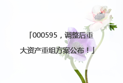 000595，调整后重大资产重组方案公布！