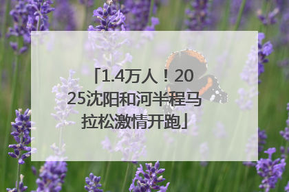 1.4万人！2025沈阳和河半程马拉松激情开跑