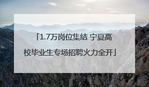1.7万岗位集结 宁夏高校毕业生专场招聘火力全开