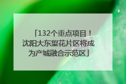 132个重点项目！沈阳大东望花片区将成为产城融合示范区