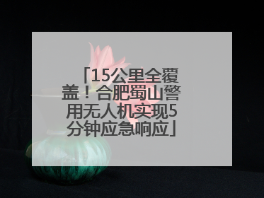 15公里全覆盖！合肥蜀山警用无人机实现5分钟应急响应