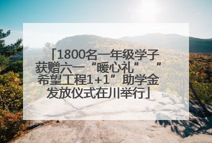 1800名一年级学子获赠六一“暖心礼” “希望工程1+1”助学金发放仪式在川举行