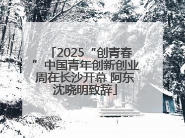 2025“创青春”中国青年创新创业周在长沙开幕 阿东沈晓明致辞