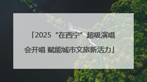 2025“在西宁”超级演唱会开唱 赋能城市文旅新活力