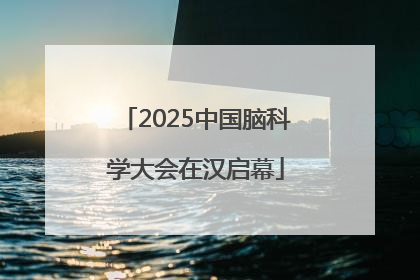 2025中国脑科学大会在汉启幕