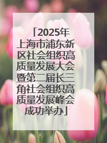 2025年上海市浦东新区社会组织高质量发展大会暨第二届长三角社会组织高质量发展峰会成功举办