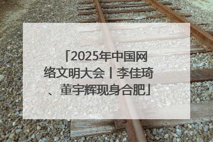 2025年中国网络文明大会丨李佳琦、董宇辉现身合肥