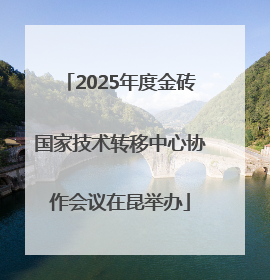 2025年度金砖国家技术转移中心协作会议在昆举办