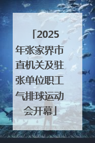 2025年张家界市直机关及驻张单位职工气排球运动会开幕