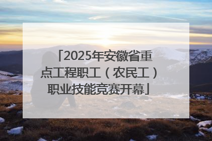 2025年安徽省重点工程职工（农民工）职业技能竞赛开幕