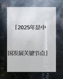 2025年是中国发展关键节点