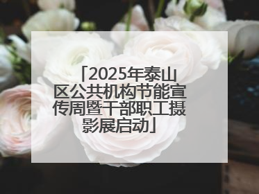 2025年泰山区公共机构节能宣传周暨干部职工摄影展启动