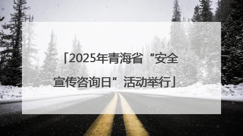 2025年青海省“安全宣传咨询日”活动举行