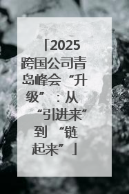 2025跨国公司青岛峰会“升级”：从 “引进来” 到 “链起来”